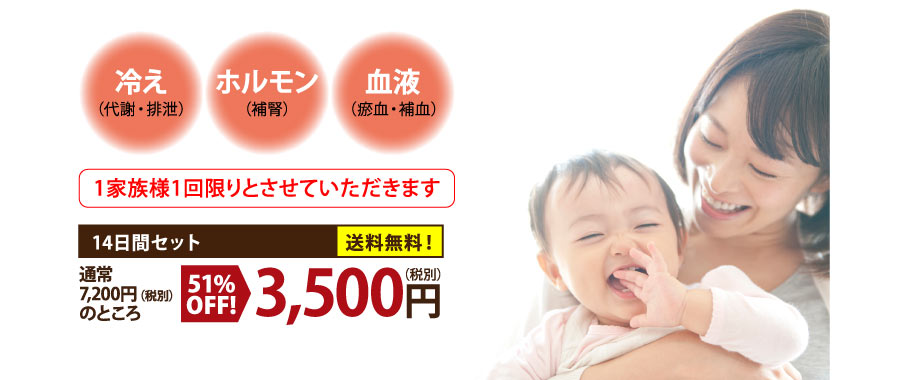 2週間お試しセット